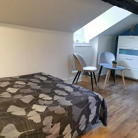 Appartamento Sous Les Toits Proche Paris Et Versailles Chaville