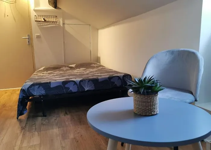 Sous Les Toits Proche Paris Et Versailles Apartment Chaville